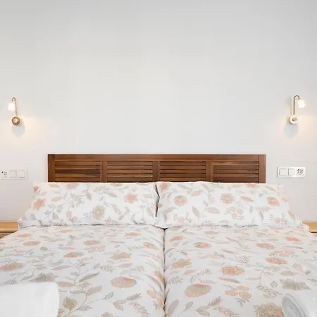 Enjoygranada Plaza Del Carmen 1a 公寓